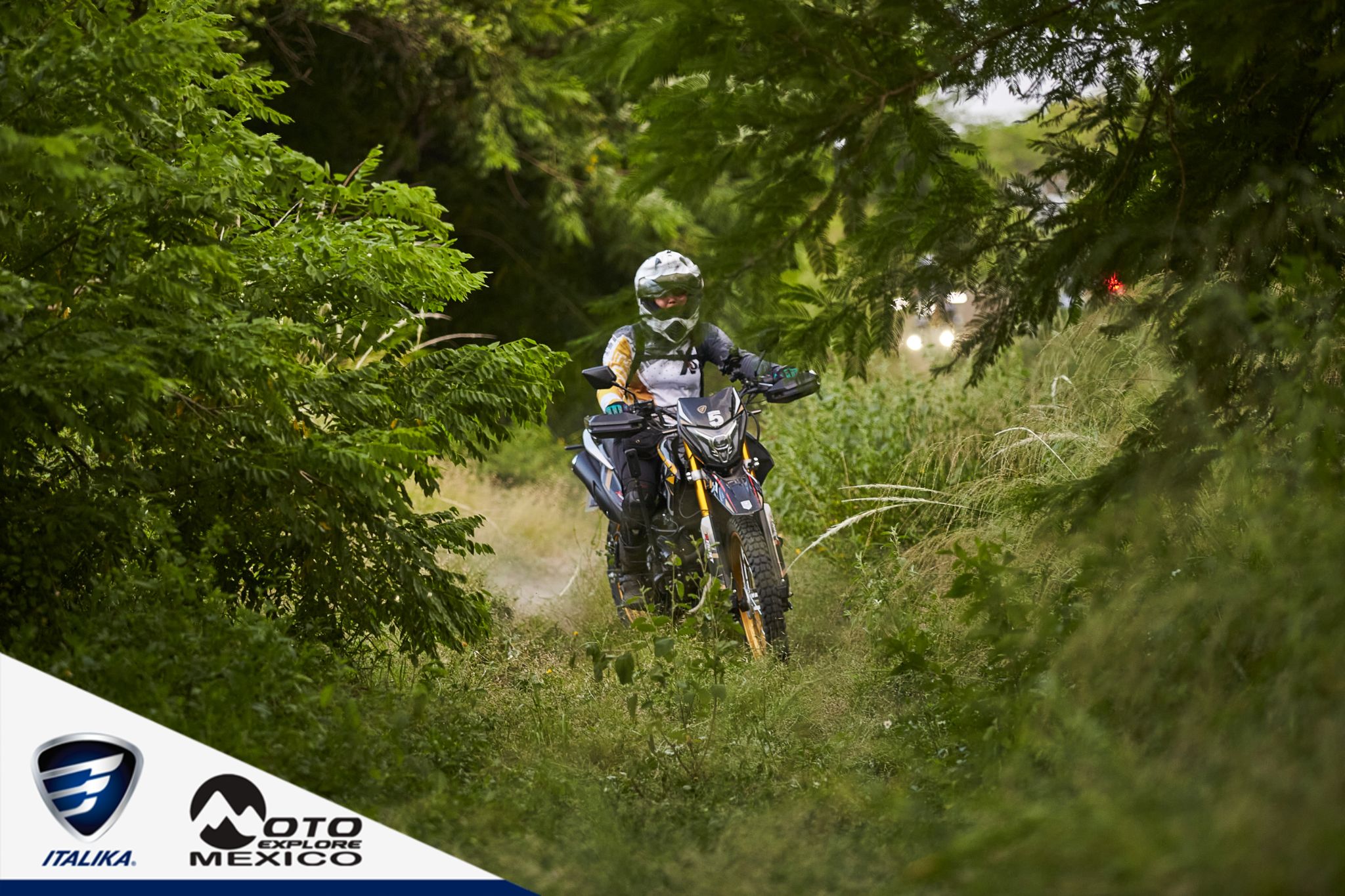 ITALIKA CHACHALACAS D1 380